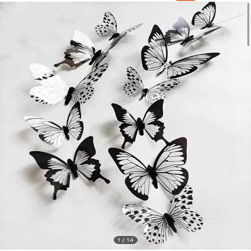 wall